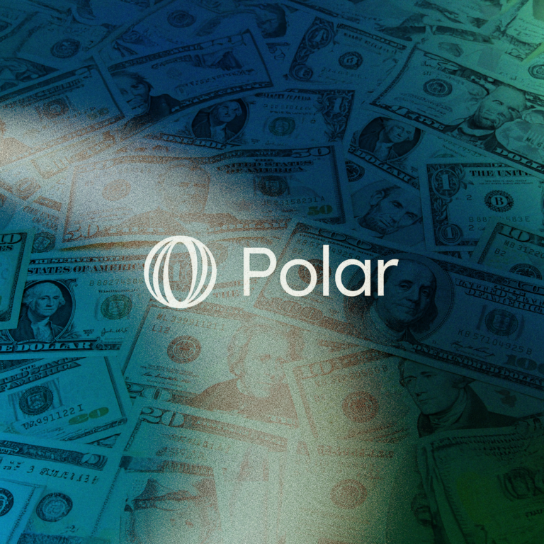 Polar AI payment infrastructure