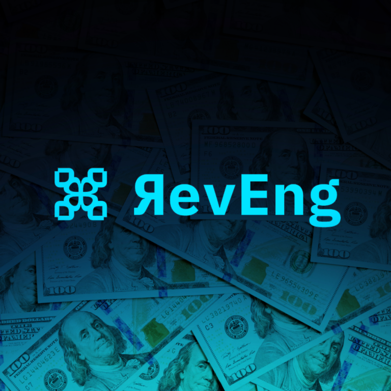 RevEng.ai Secures Backing for AI Security Platform