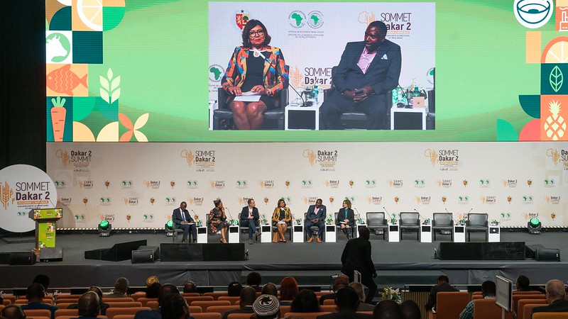 African Development Bank to Drive Partnerships and Investment at TICAD9 in Japan