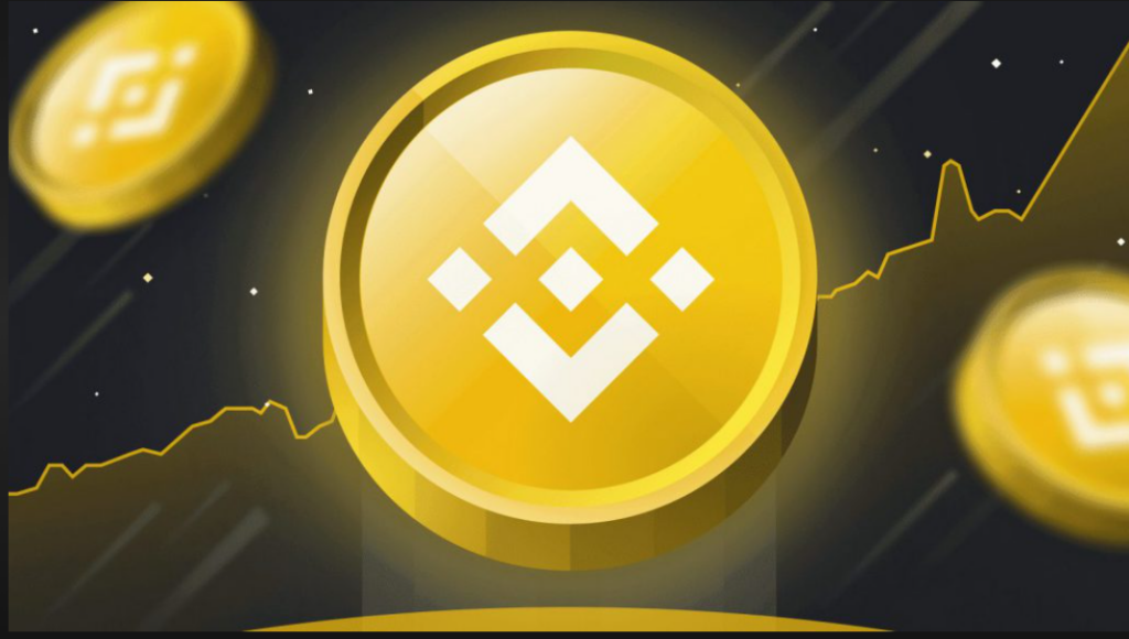 Binance Coin record