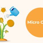 micro credit payments