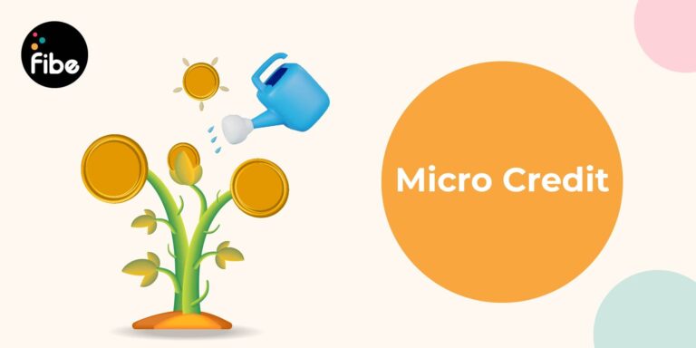 micro credit payments